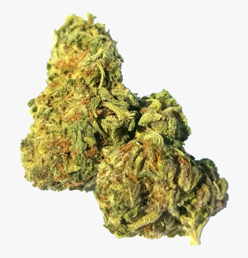 Buy weed online to obtain positive results in your purchase order post thumbnail image