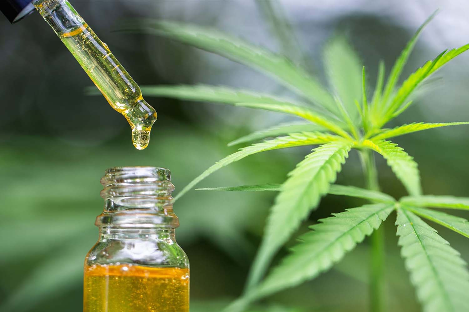 Things to know before buying CBD online post thumbnail image