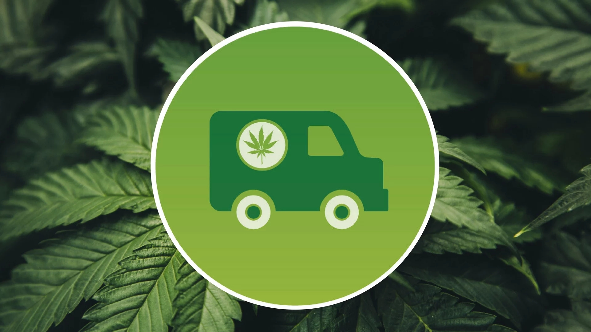 Discounts, Sales and Coupons: How to Save on Marijuana Purchases post thumbnail image