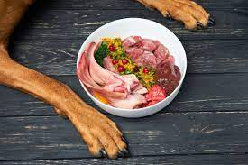 More powerful muscle tissues with best raw dog food diet post thumbnail image