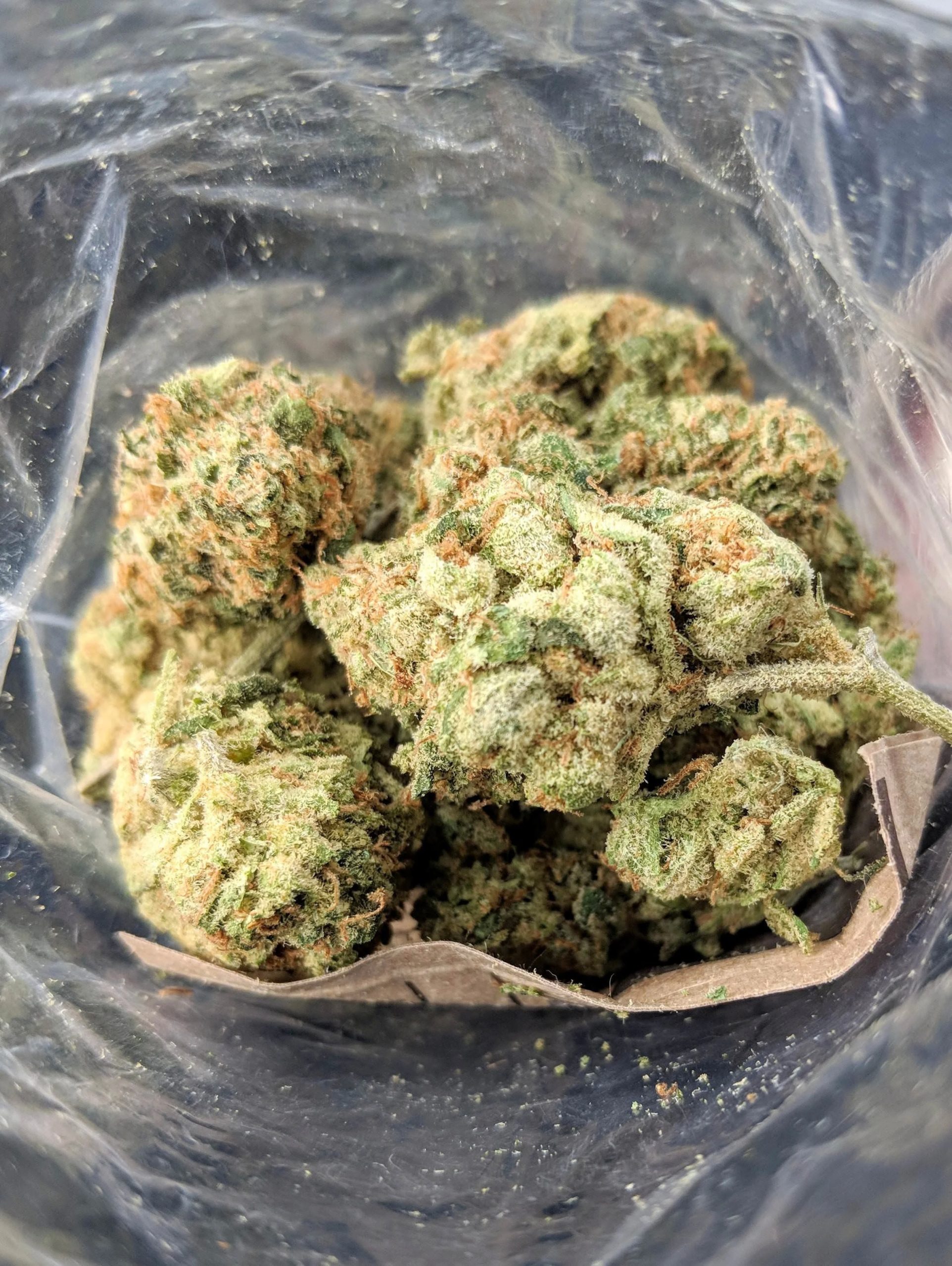 Are You Looking For Buy Cheap Weed Canada? post thumbnail image