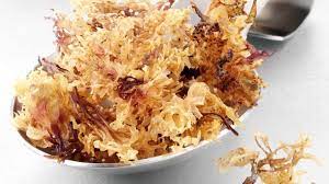 Ease your intestinal and respiratory system-sea moss post thumbnail image